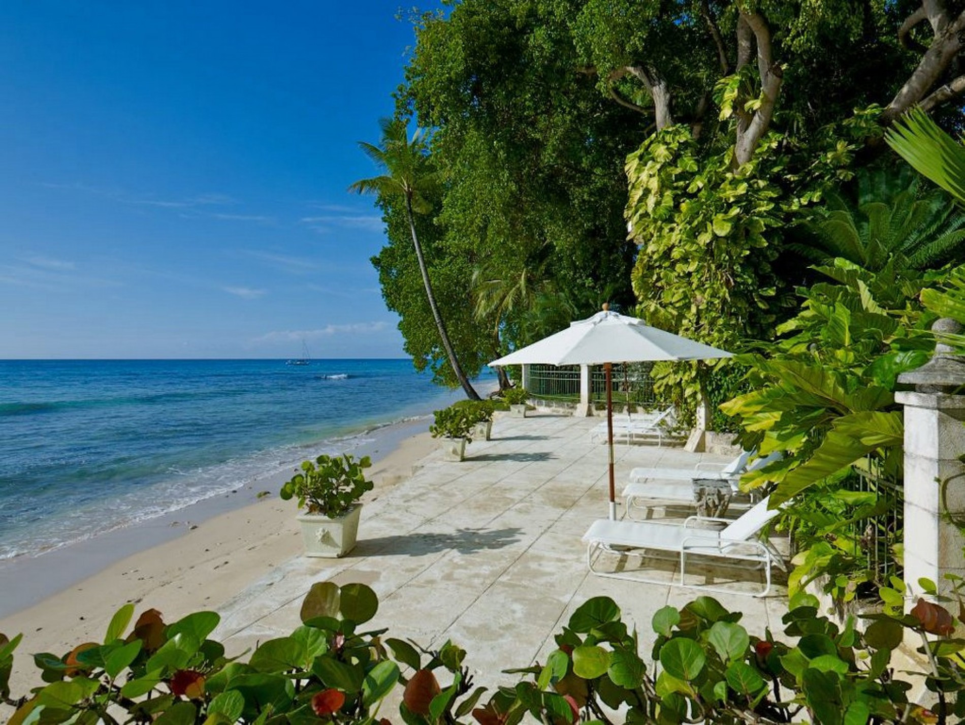Mango Bay