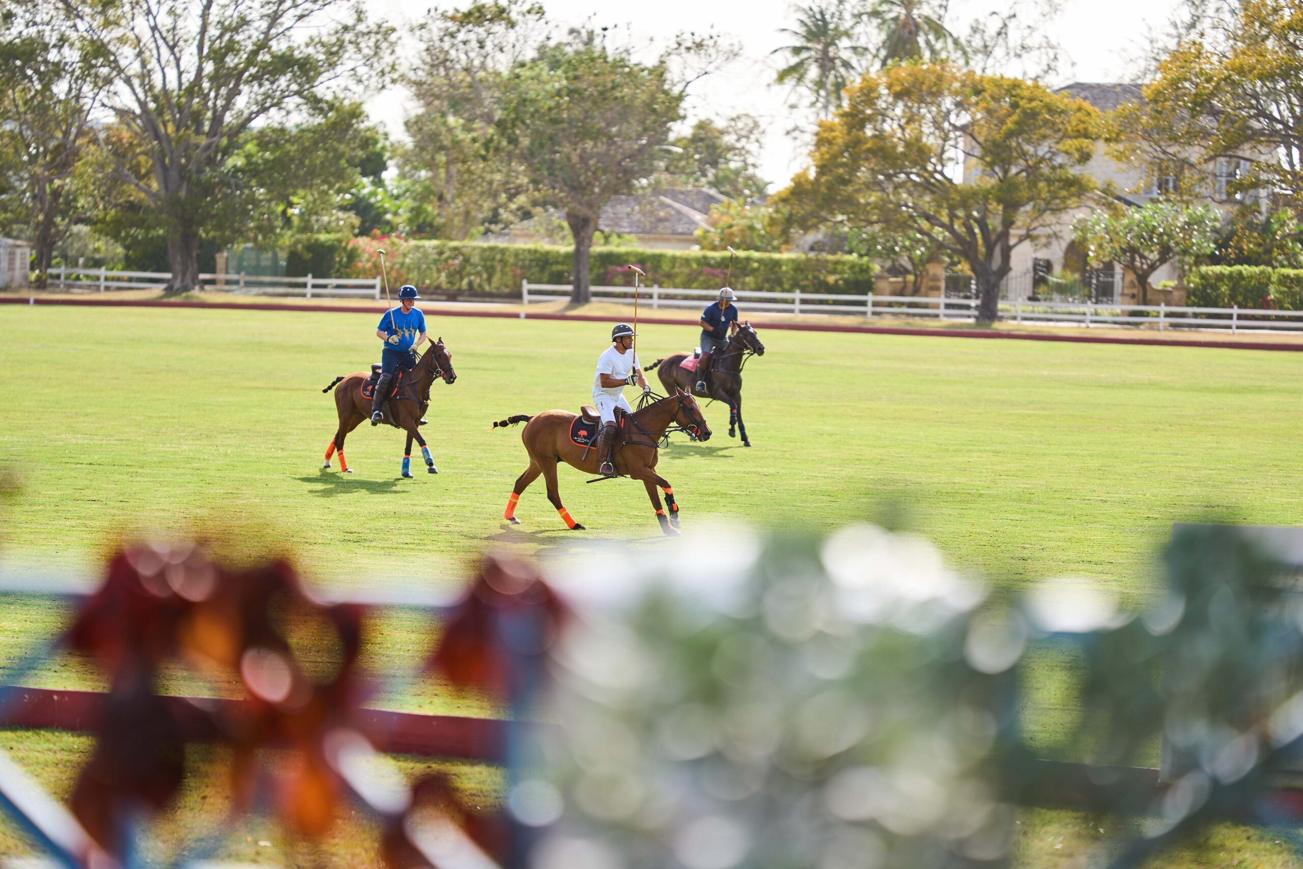 Polo View