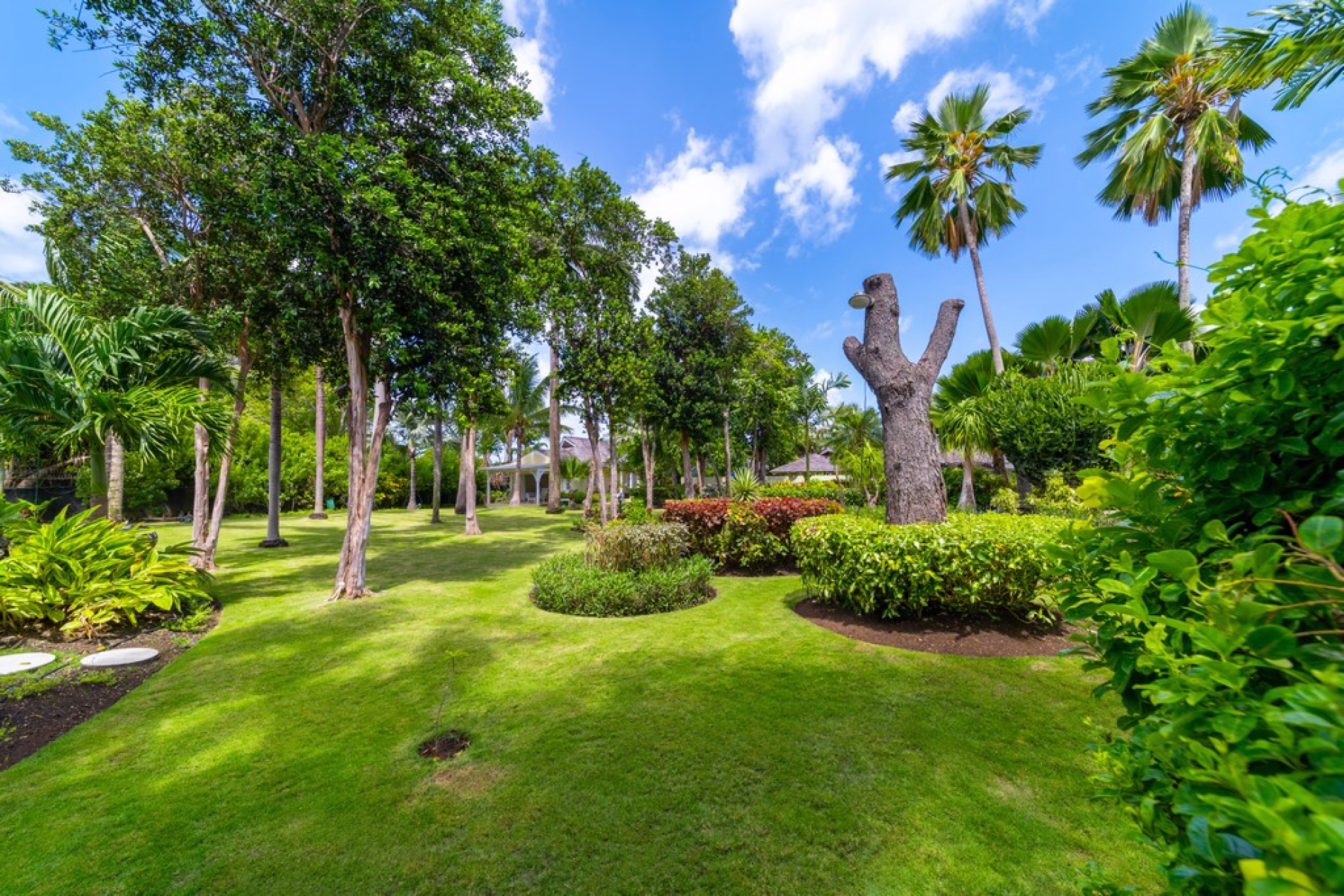 Point of View, Sandy Lane