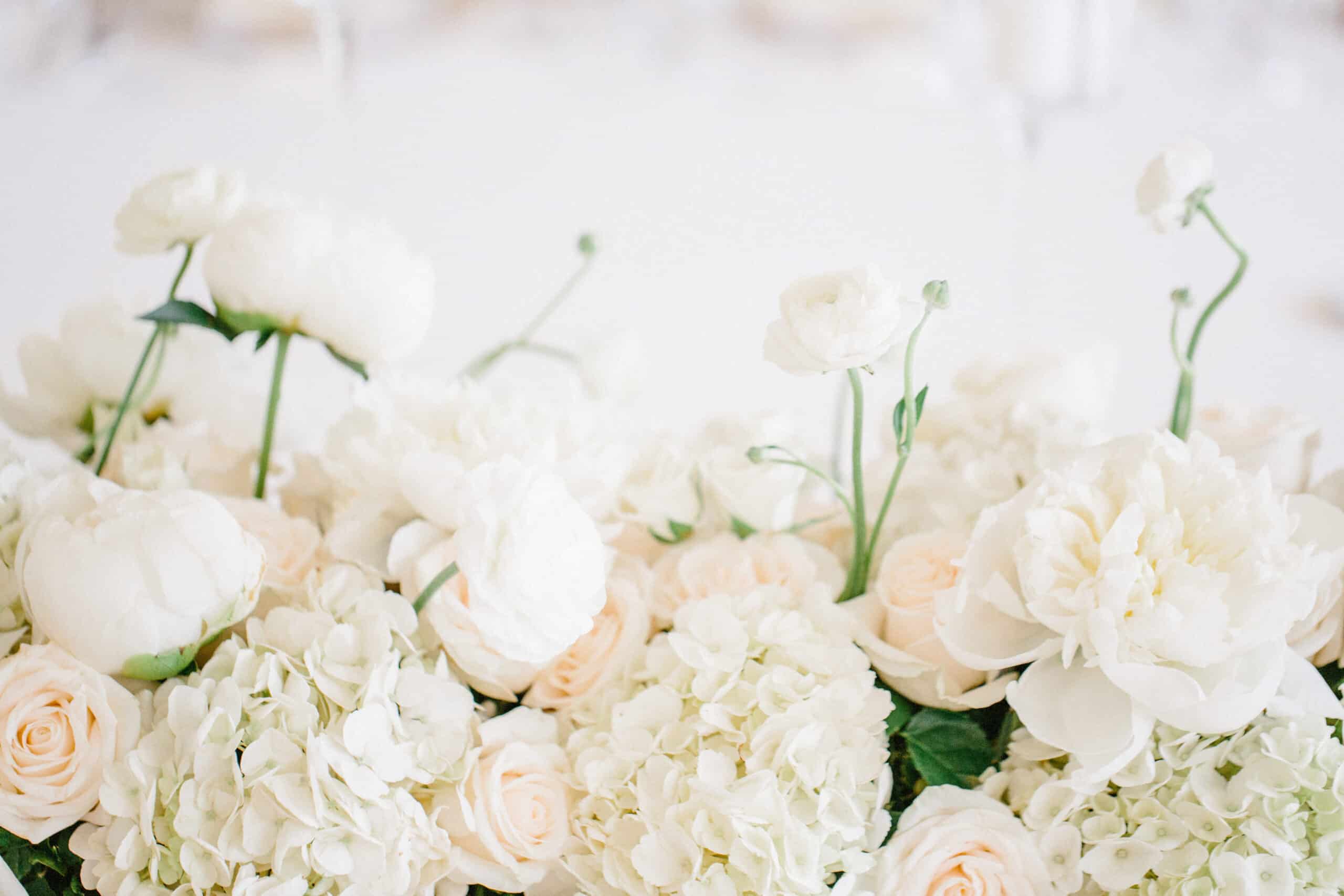 Weddings and Special Events